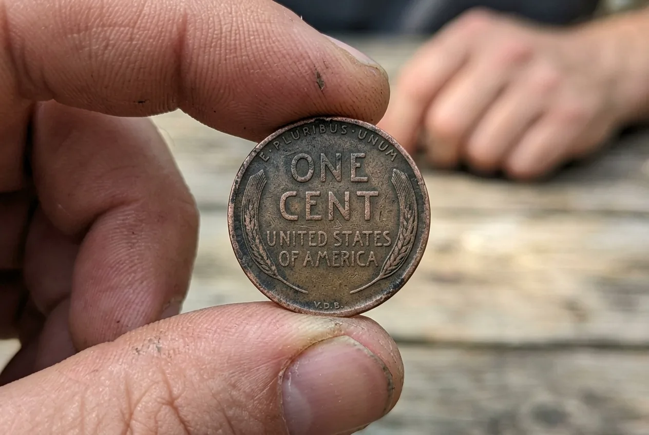 How Much is an American One Cent with V.D.B. Worth in Used Condition? (The Shocking Value of a Circulated Penny) 3 Close-up showing the Victor David Brenner initials on a used Lincoln Wheat Cent